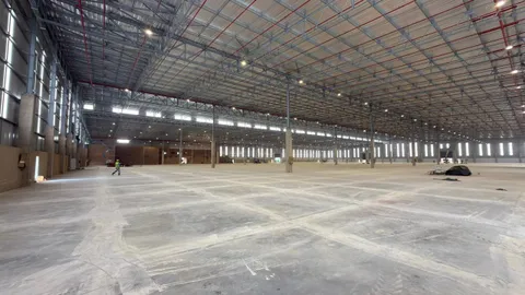 WhatsApp Image 2026-02-03 at 17.12.41 (1).